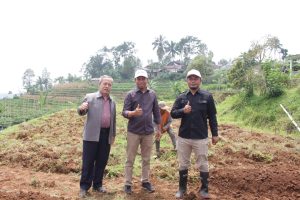 Proses Pertumbuhan Tanaman dan Pengembangan Bisnis di Desa Pesantren