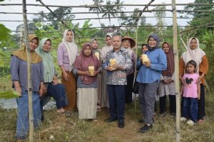 Penguatan Budidaya Hortikultura dan Pemanfaatan Greenhouse Desa Pesantren