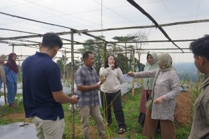 Penataan Greenhouse dan Persiapan Demplot Edukasi Pertanian Desa Pesantren